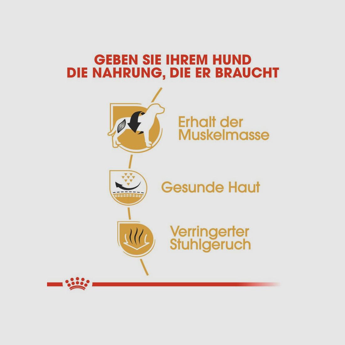 ROYAL CANIN Französische Bulldoggen Trockenfutter Adult