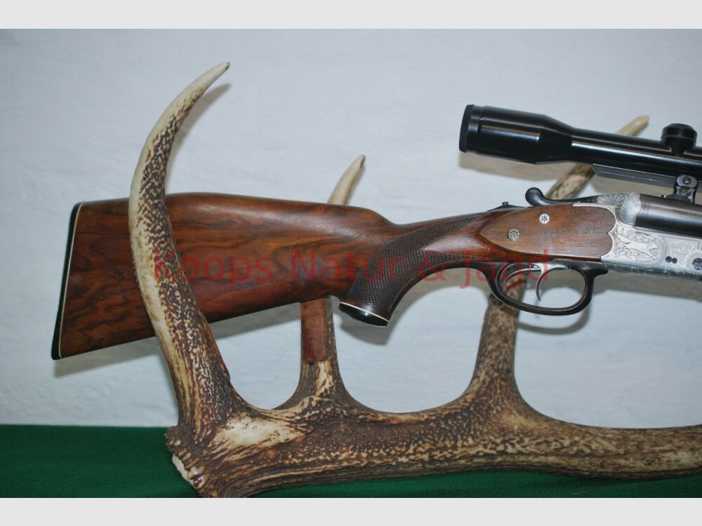 Sauer & Sohn 3000 AL