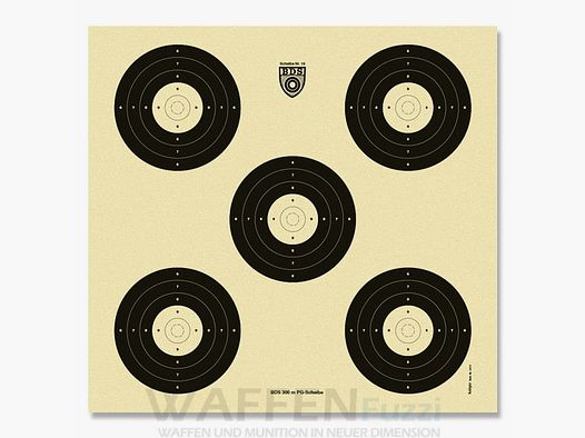 BDS cible Z19 pour précision 300 mètres 50 pièces 55x52 cm