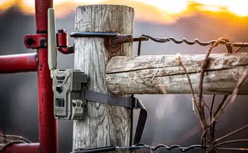 Pack mit 2 Boxen für Flex-M Spypoint Handykameras