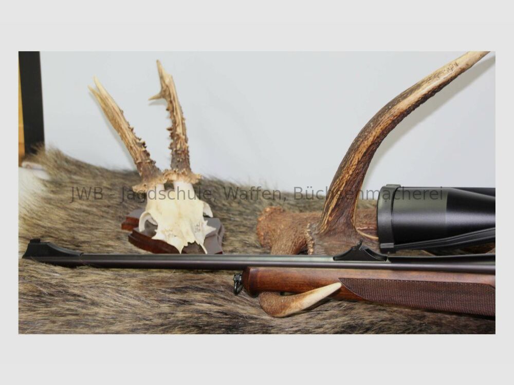 Sauer & Sohn 202 Euro mit variablem Zielfernrohr .30-06Spring