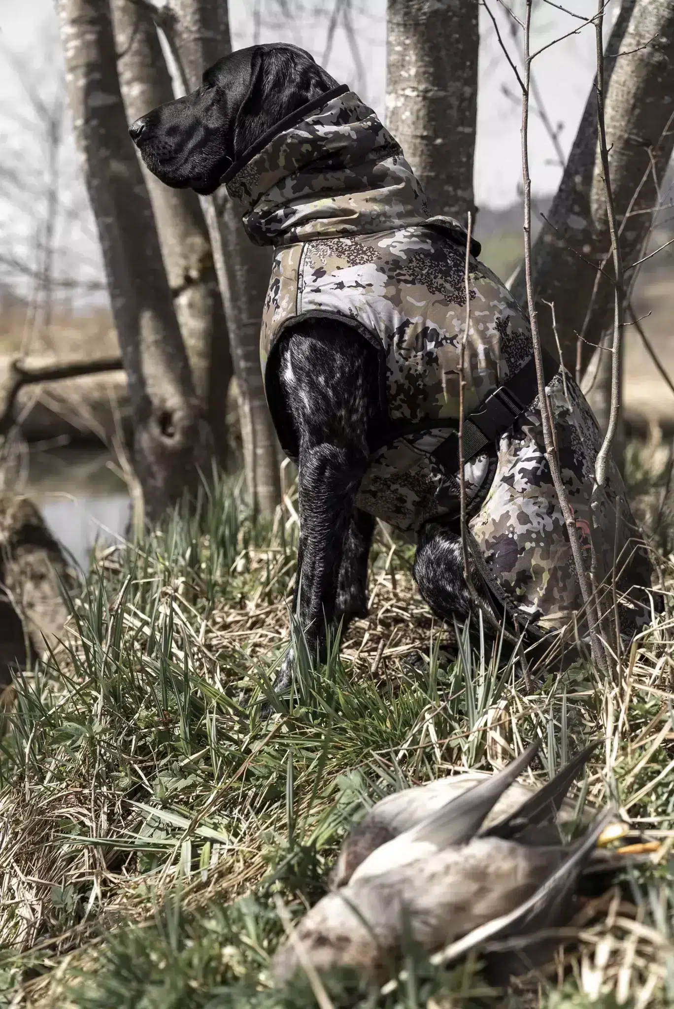 Blaser Hundeponcho HunTec Camo, Bild 11 von 11