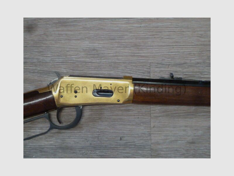 Winchester Siècle de Leadership