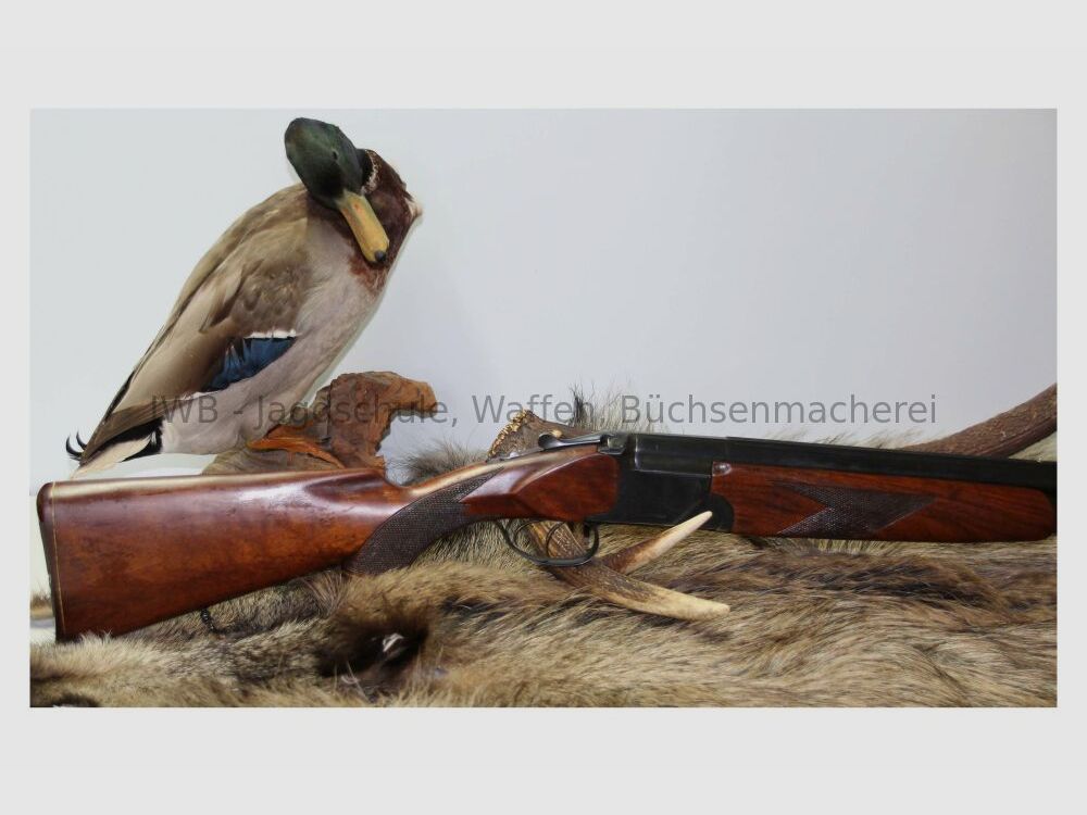 Baikal Bockflinte 12/70