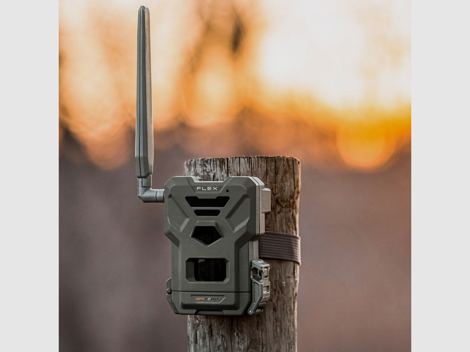SPYPOINT Wildkamera FLEX