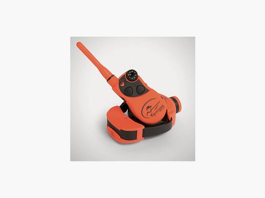 Trainings- en Volgband 1600m SportDog SD1875E