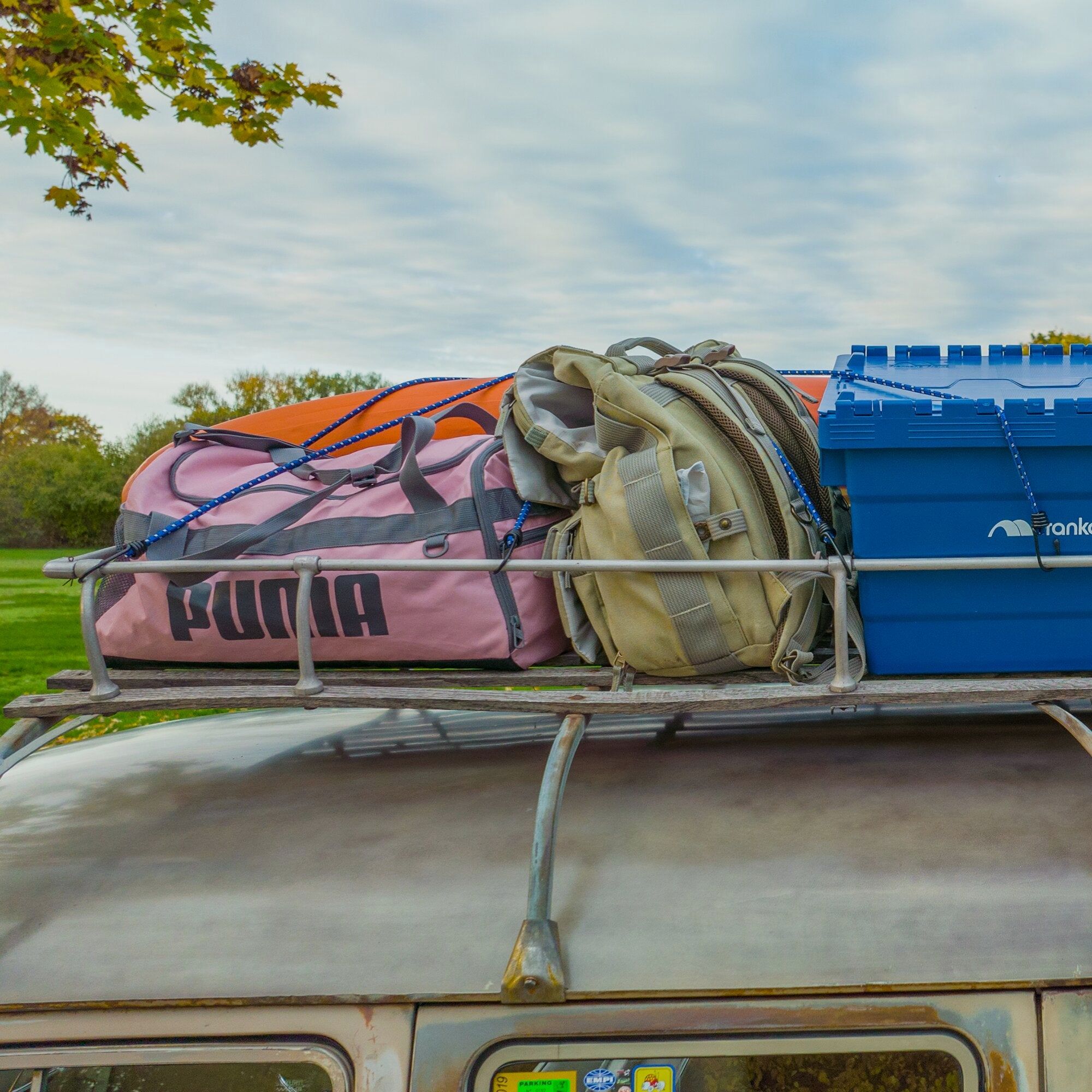 Luggage Spider, image 5 of 8