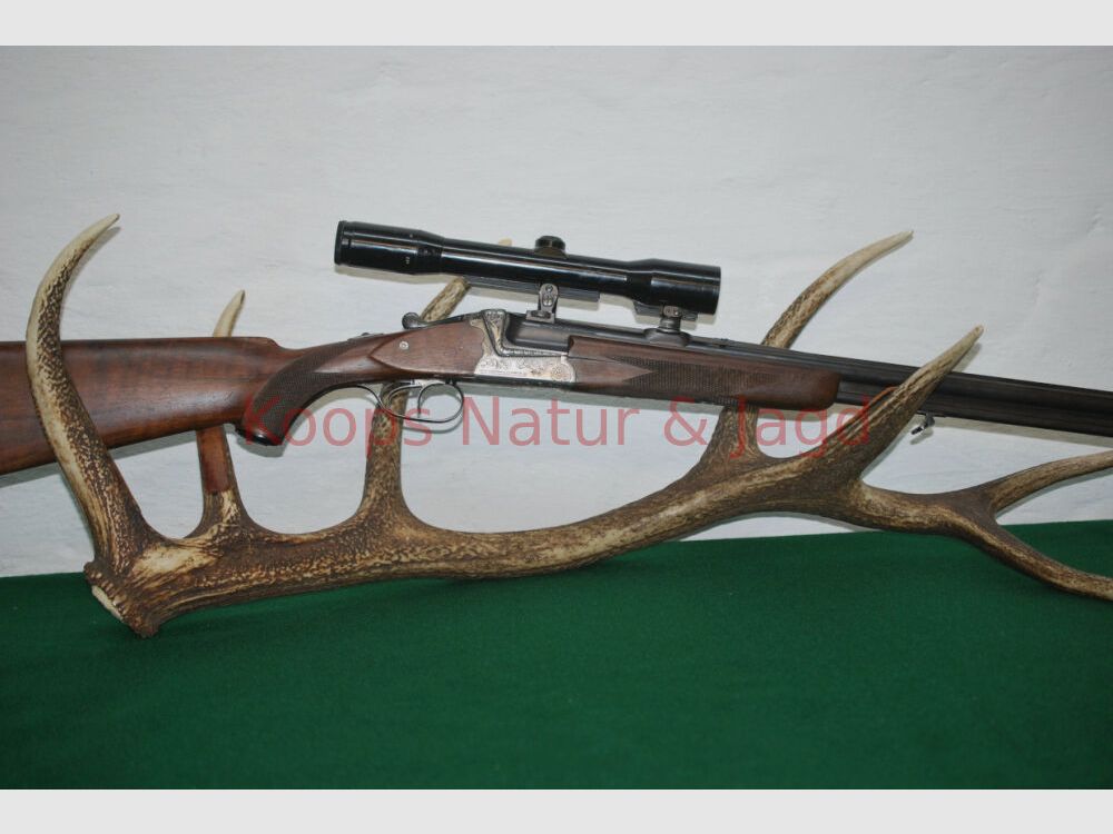Sauer & Sohn 54