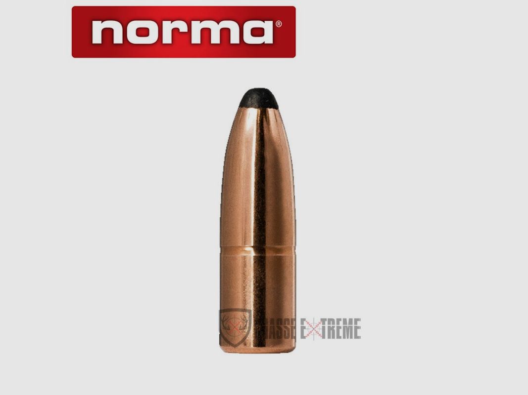 50 Geschosse NORMA Kal. 9,3mm 285gr Alaska