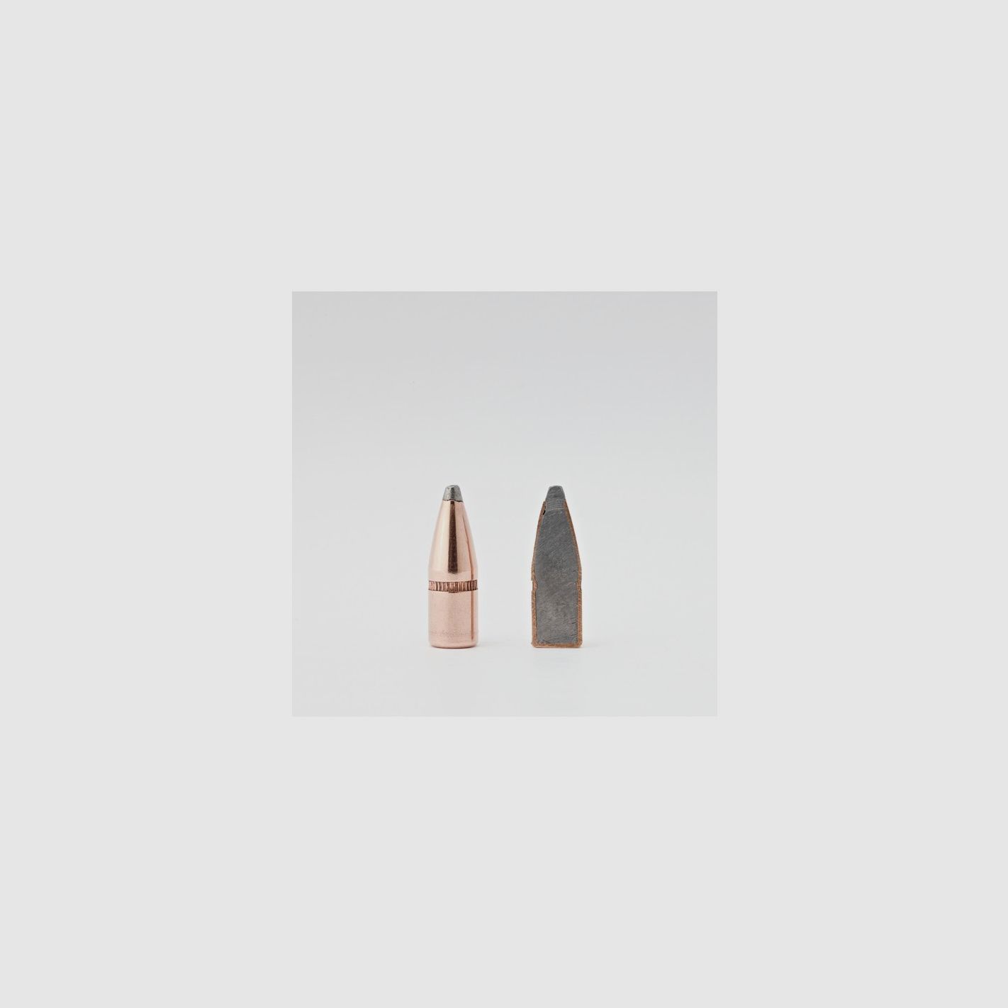HORNADY BALAS SP W/C 224" 55GR 100PZ., imagen 3 de 4