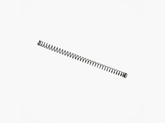 SMITH & WESSON – MOLLA 066820000 RECOIL SPRING