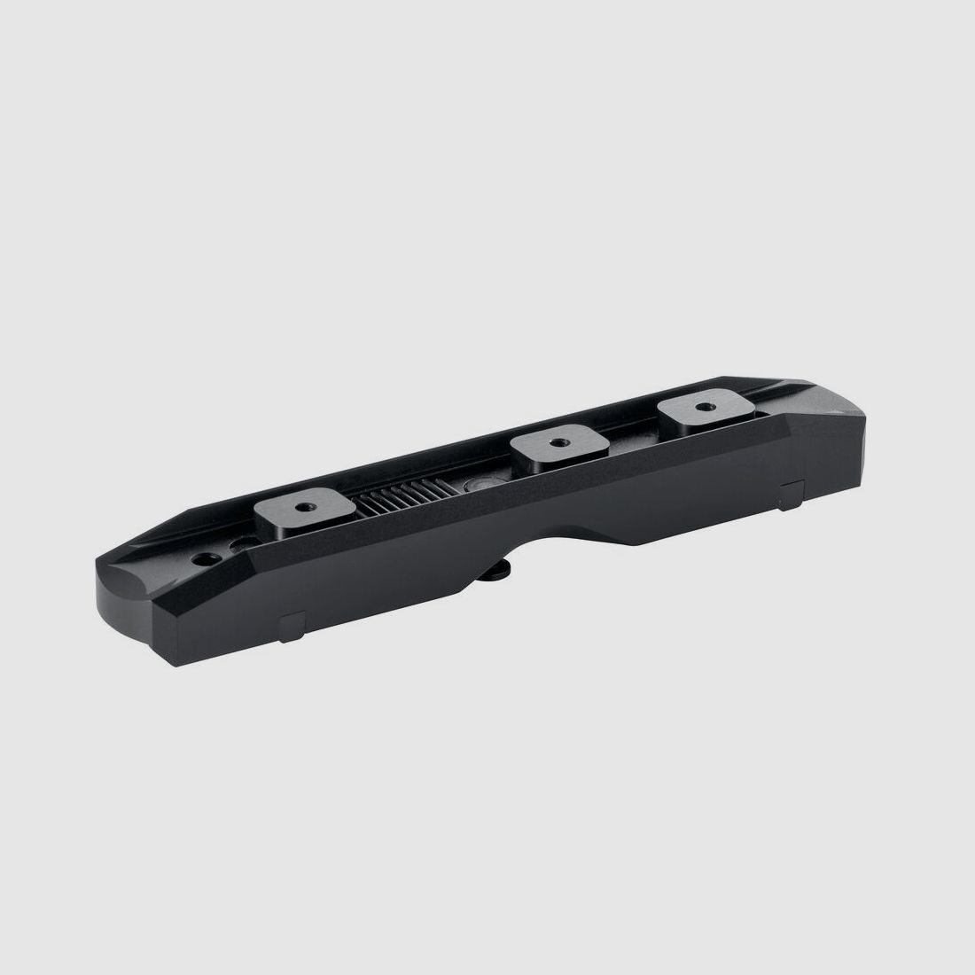 Dentler Montageschiene BASIS® Stahl Swarovski SR