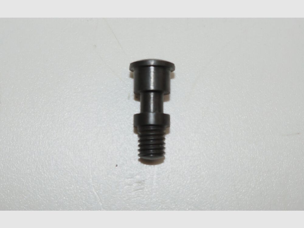 Weapon Factory Bern Used Cover Plate Screw for Swiss Service Revolver 1882