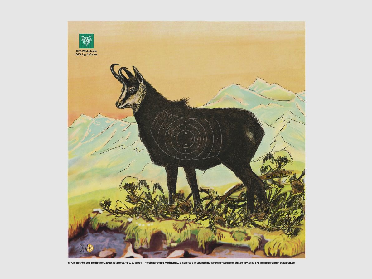 DJV-Scheiben für Luftgewehr