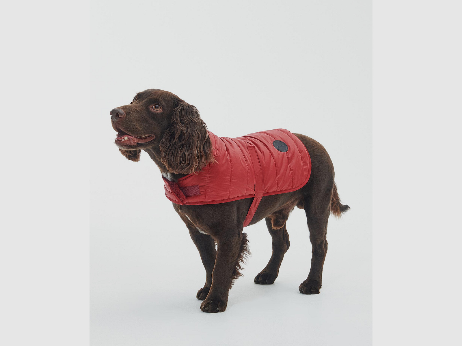 Barbour płaszcz dla psa pikowany z futrem teddy