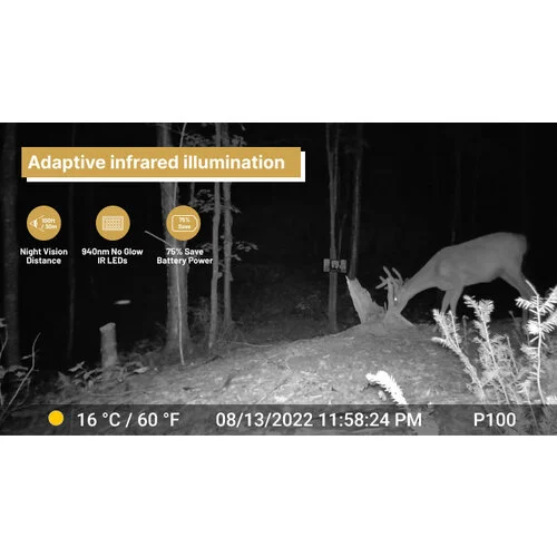 Meidase S960 Caméra de chasse cellulaire et Wi-Fi, image 9 sur 10