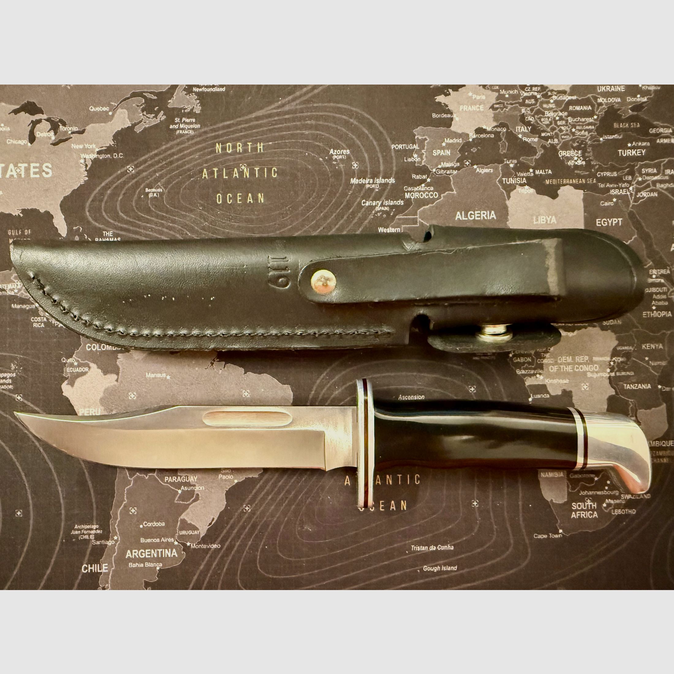 Buck 119 Bowie Messer Outdoor