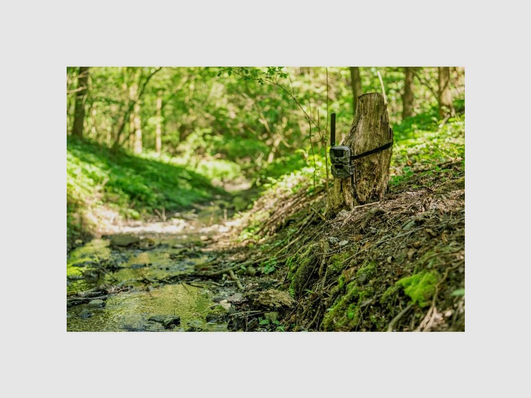 HIKMICRO T16 4G Wildkamera Dual-FOV, bis 24 MP, 64 GB