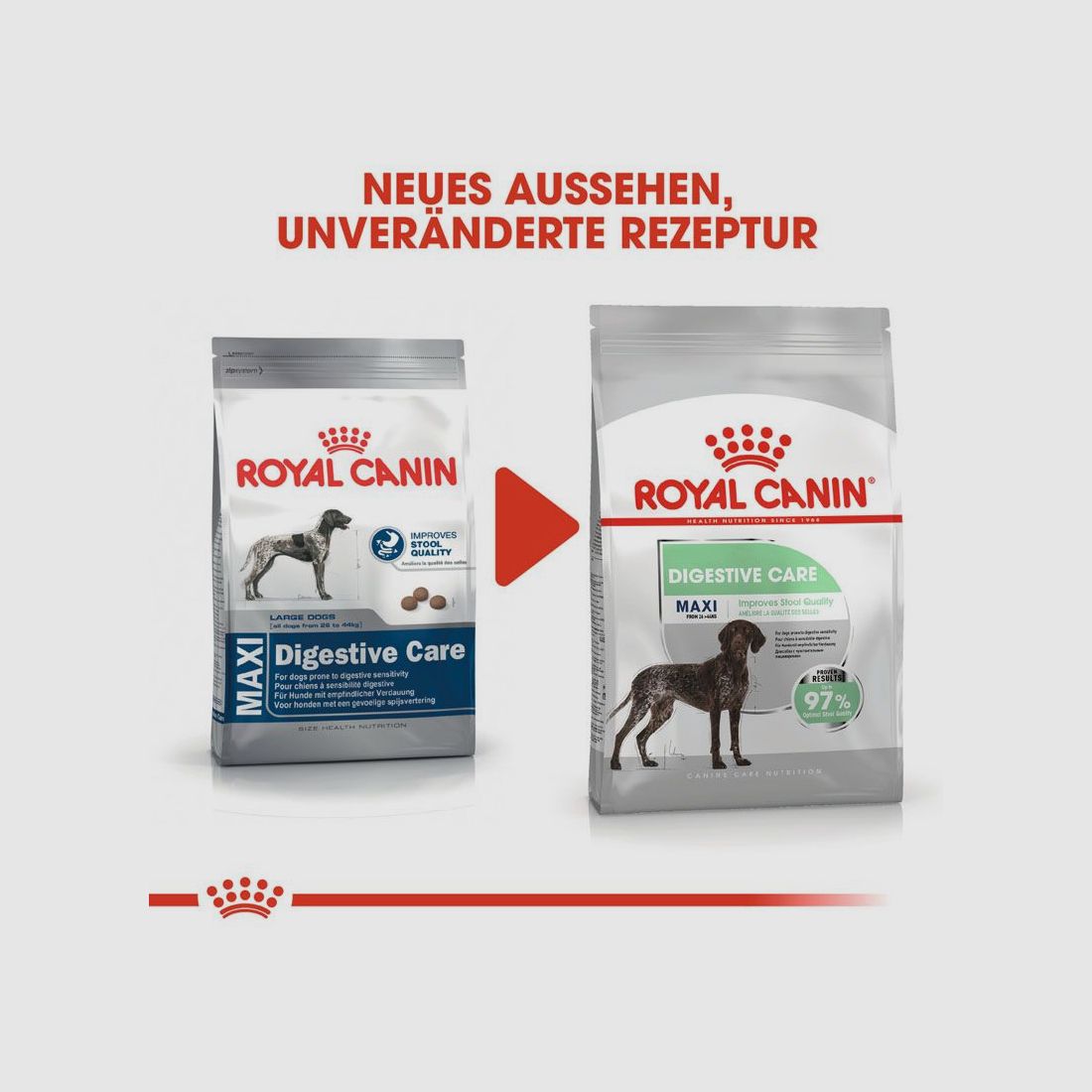 ROYAL CANIN Große Hunde Trockenfutter Digestive Care Maxi für empfindliche Verdauung 12 Kg