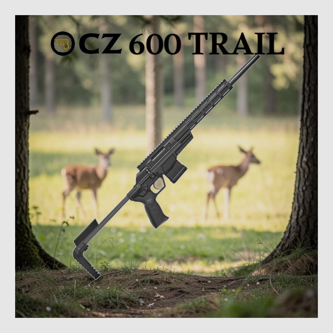 CZ 600 Trail