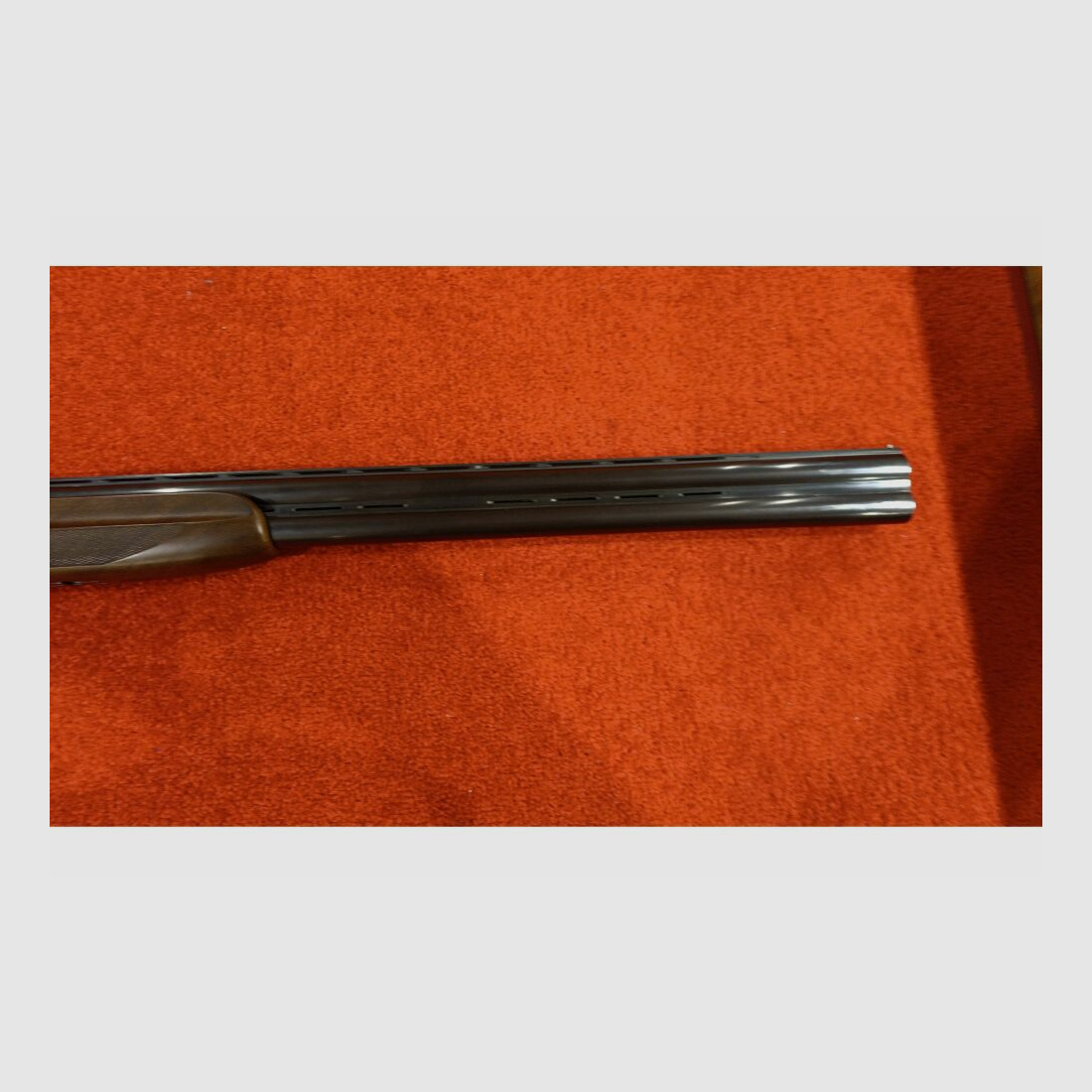 Frankonia Jagd 12/76