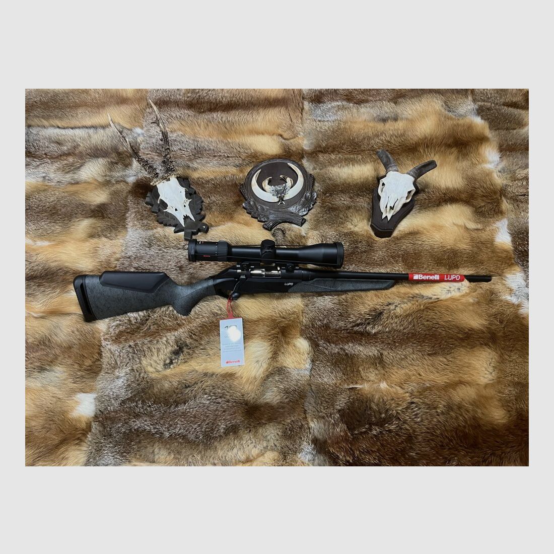 Benelli Lupo Granite Moos