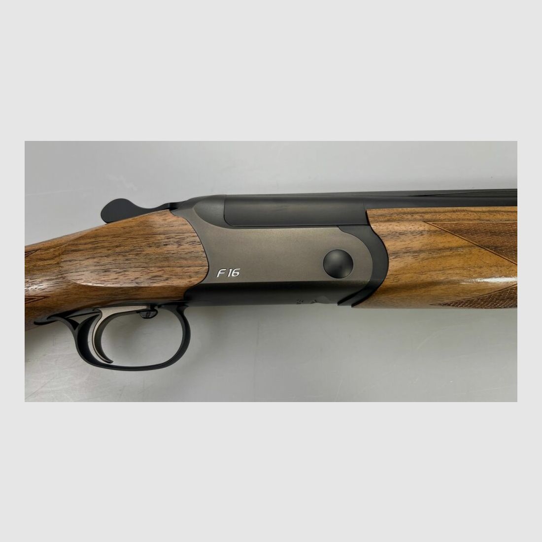 BLASER F16 Gioco