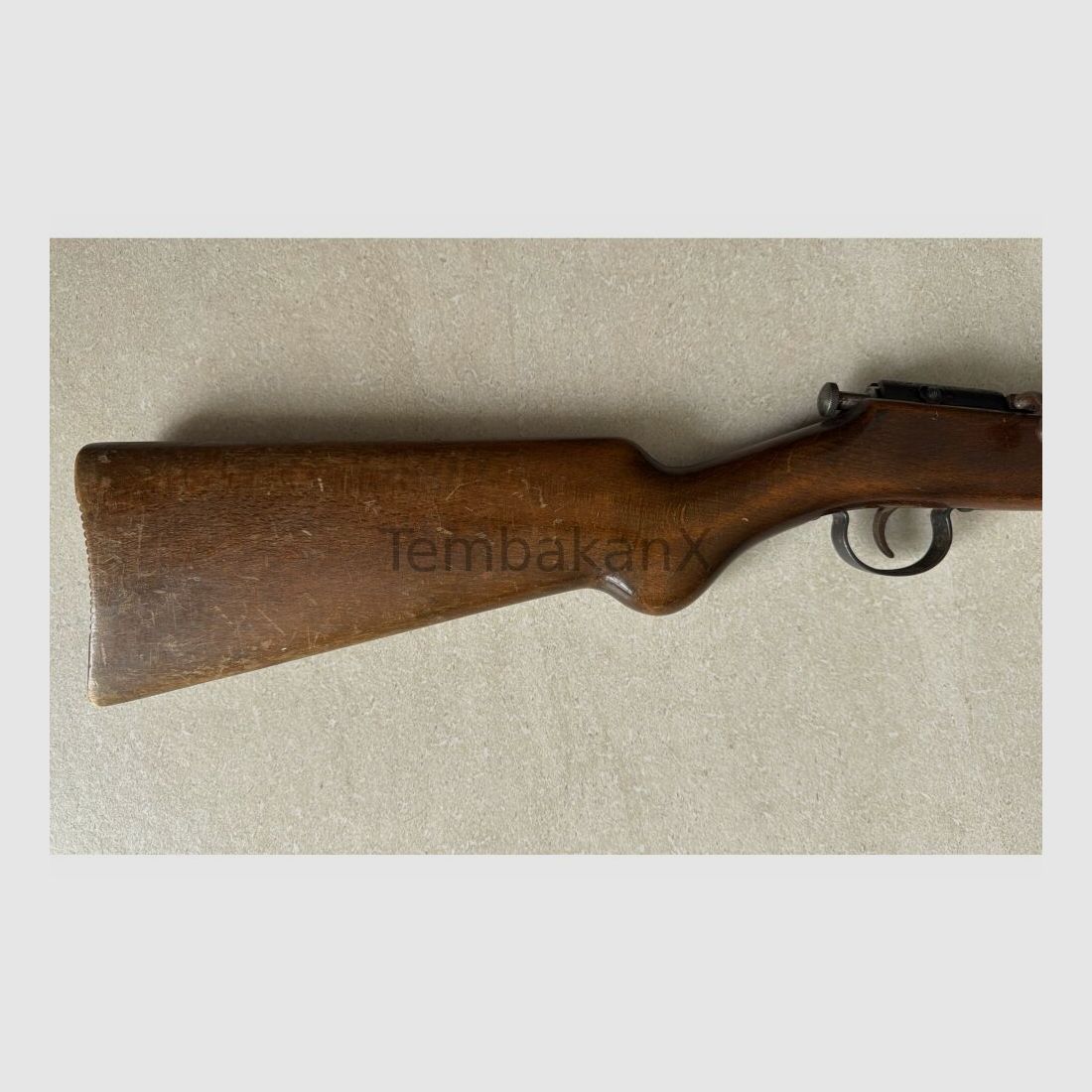 Anschütz .22lr