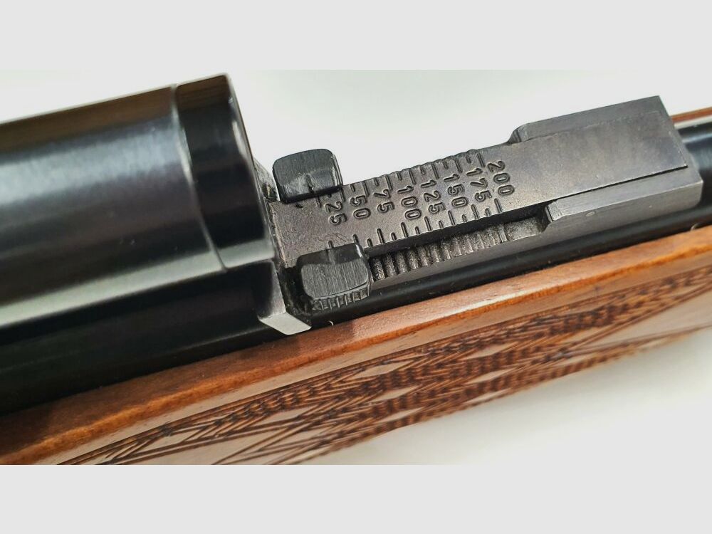 Repeating rifle with scope