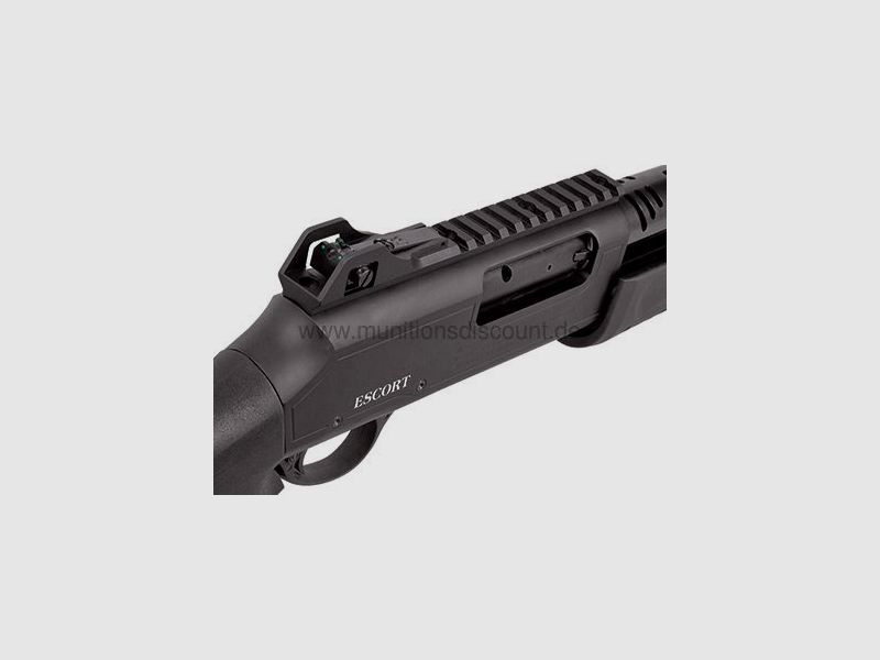 Hatsan Escort BM12 with interchangeable box magazine