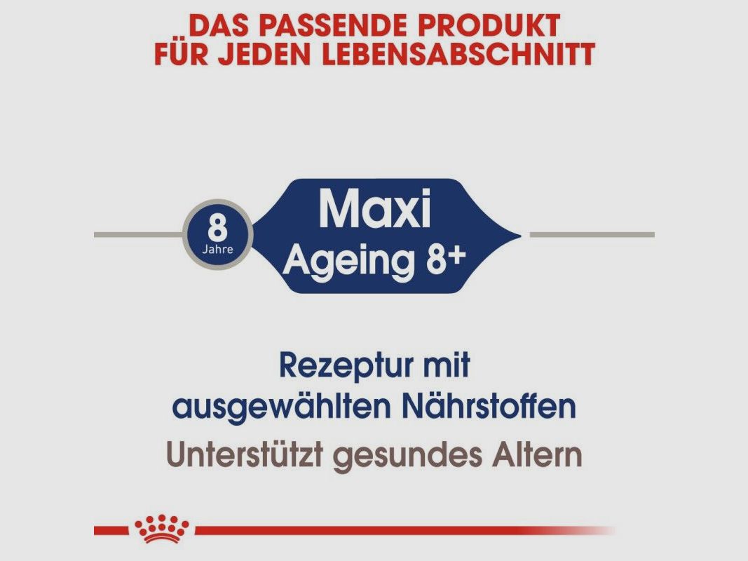 ROYAL CANIN Ältere Große Hunde Nassfutter Maxi Ageing 8+ 10x140 g