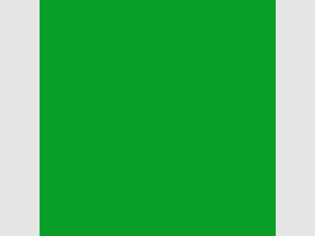 BRESSER SBP10 Papierhintergrund 1,69 x 11m Grün Chromakey, Bild 2 von 7