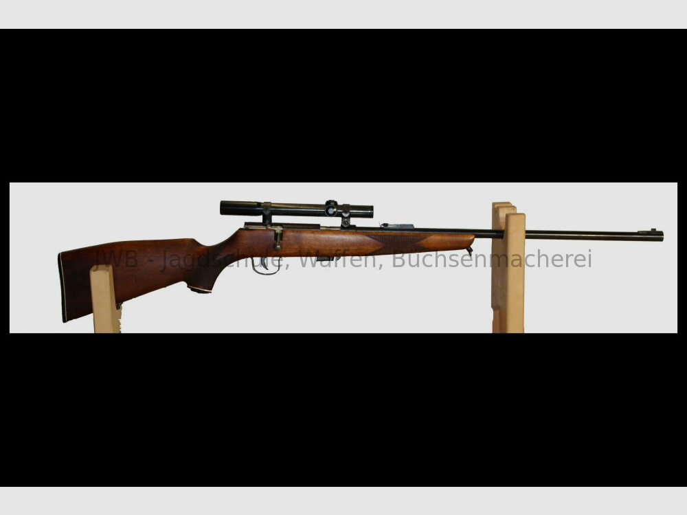 Carabine à répétition Voere avec cartouches .22lr