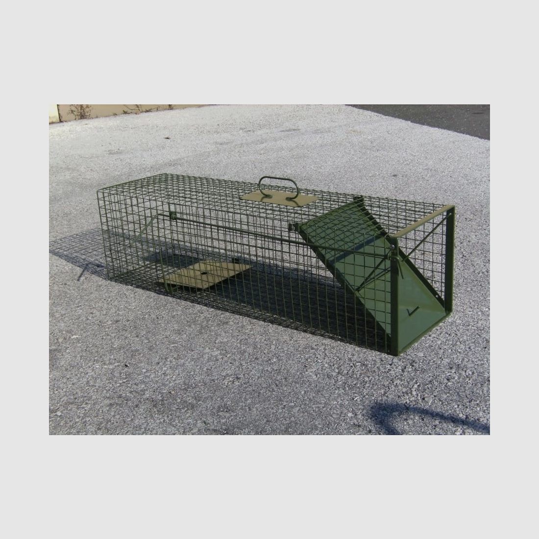 DAUTH wire box trap with a flap door