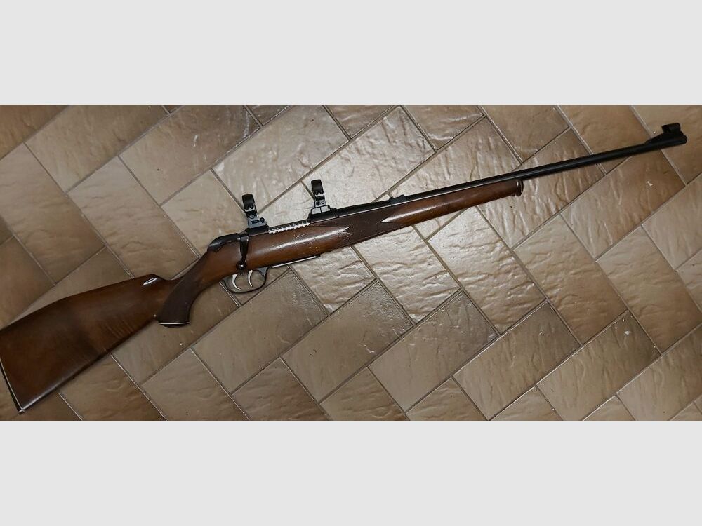 Kriegeskorte - Stuttgart Krico