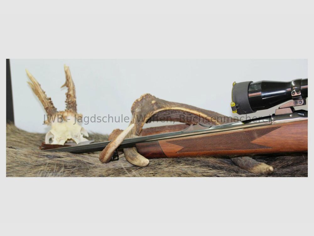 Sauer & Sohn 90 with Kahles Helia .308Win
