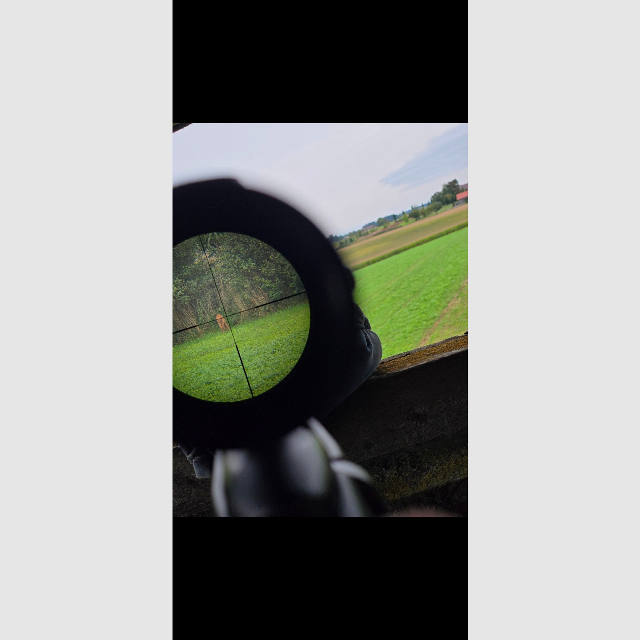 Mannlicher SM12 SX Goiserer