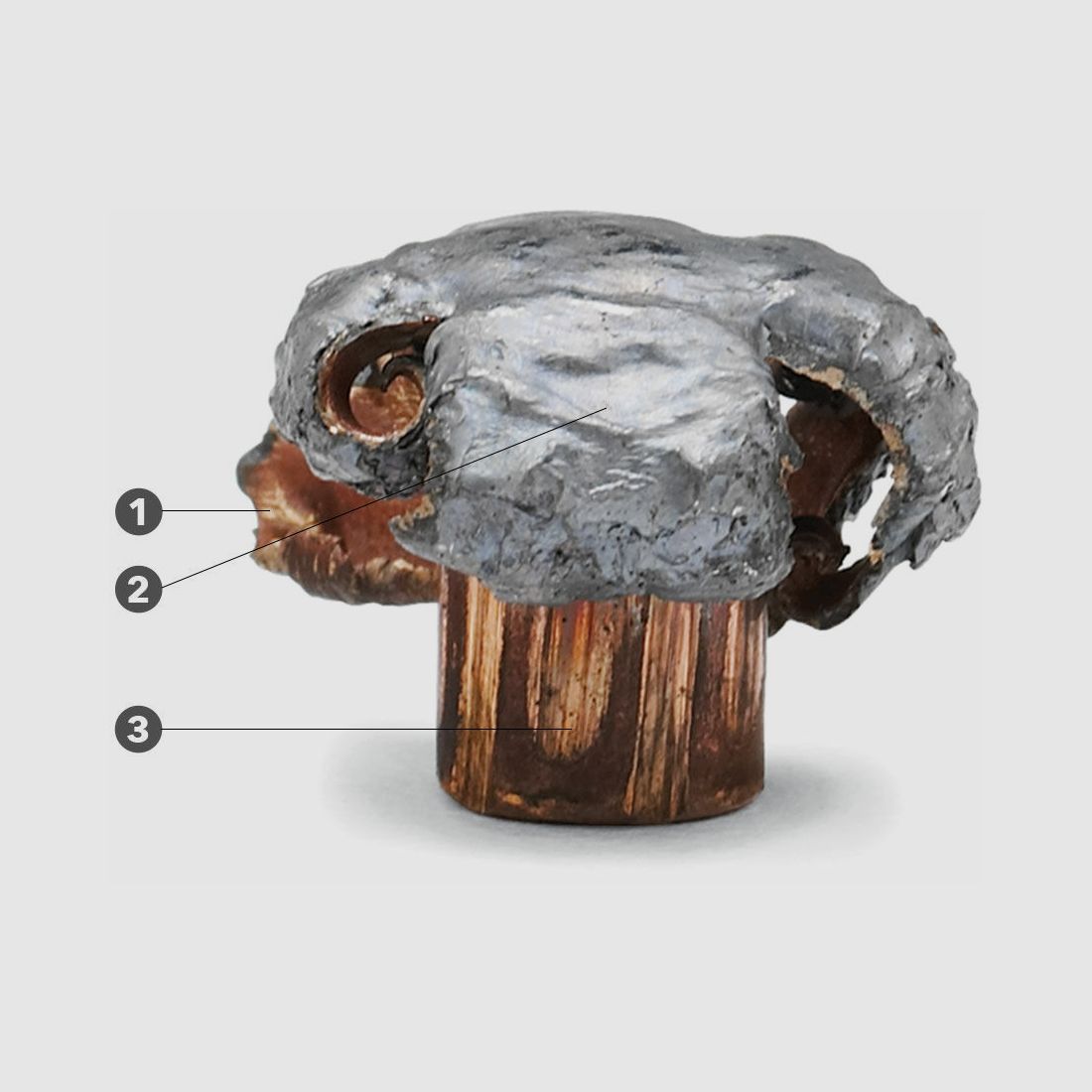 Remington CoreLokt 405grs - 20Stk