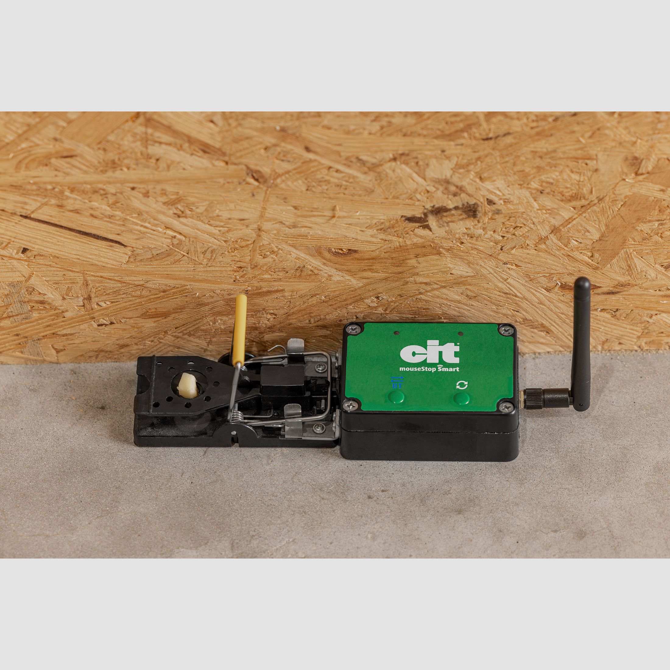 WLAN Mausfalle smart