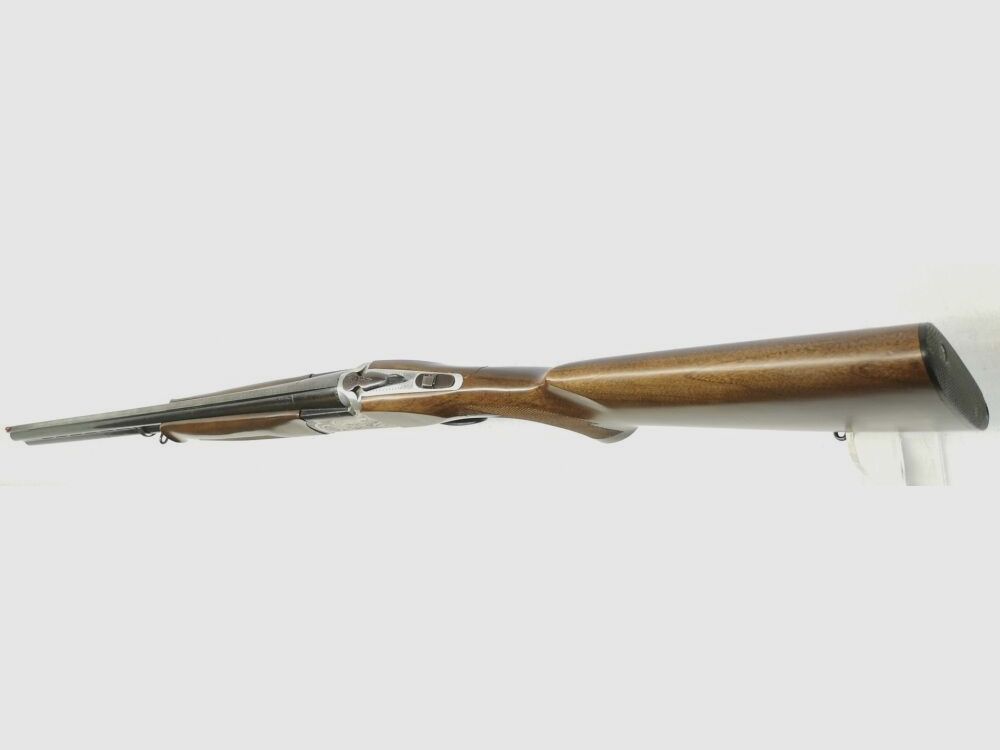 Rizzini zonder