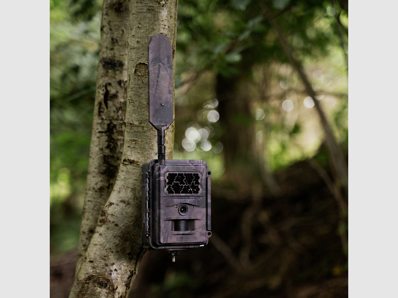 Seissiger Base-Cam LTE SUPERSIM-Edition inkl. Akkus