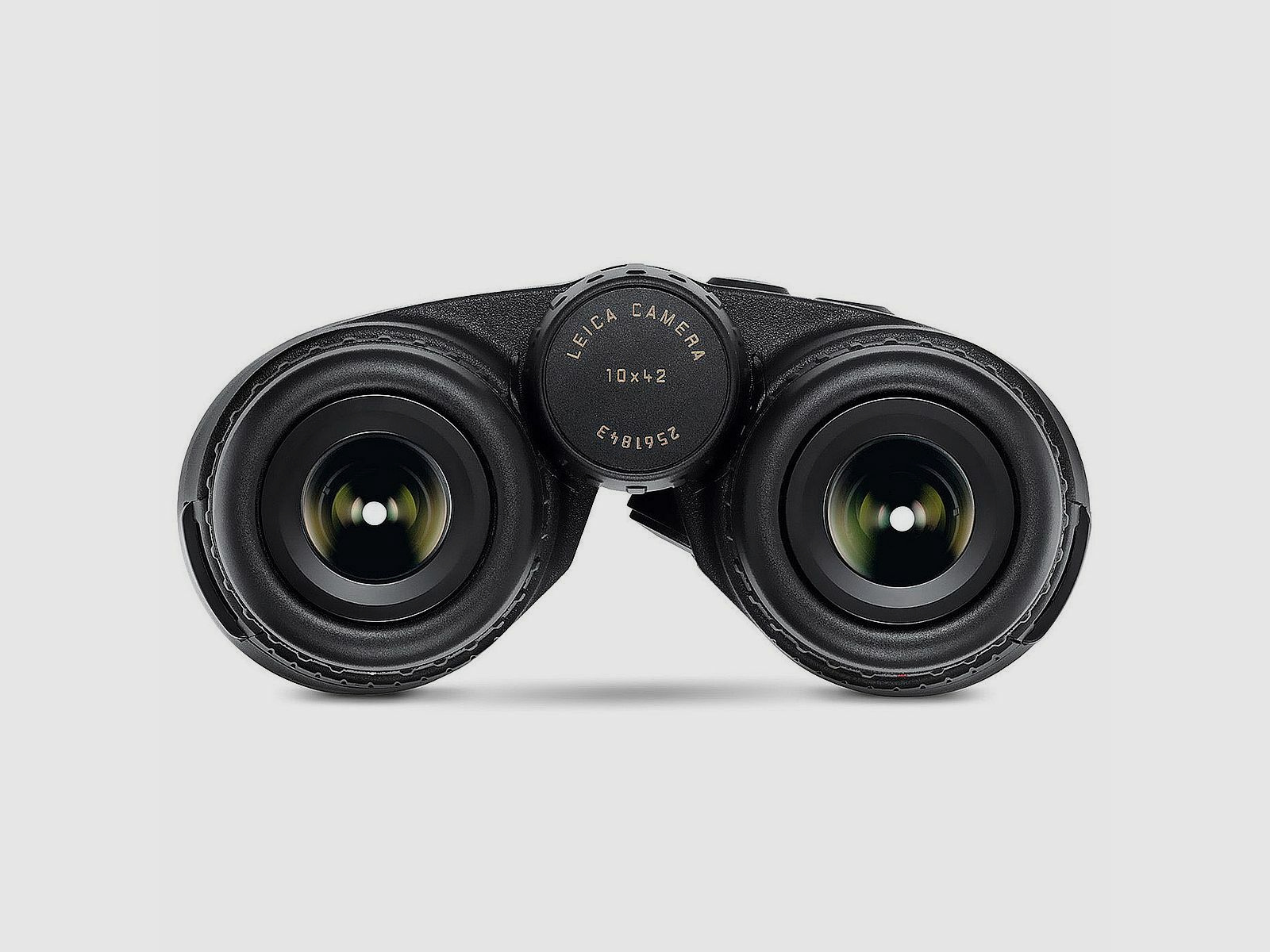 LEICA Geovid R SE 10x42