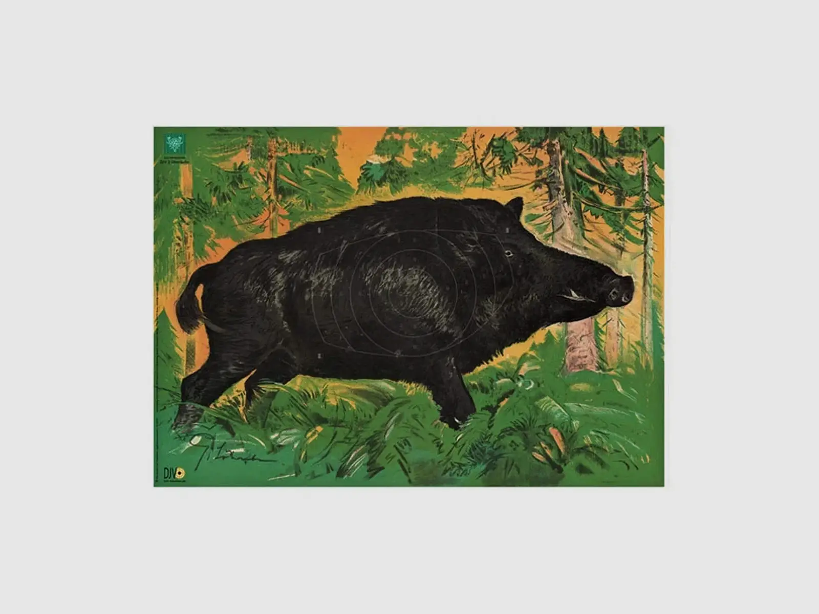Cibles de chasse AKAH DJV, image 3 sur 3