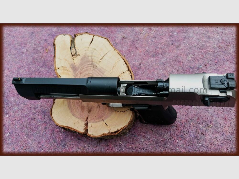 IMI - Israëlische Militaire Industrieën LTD Woestijnarend