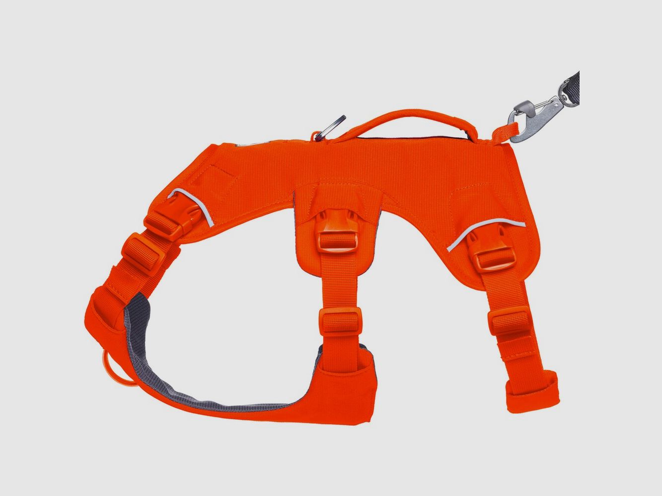 Ruffwear Dog Harness Web Master™ (Size XS (Chest 43-56cm) – Blaze Orange), image 6 of 7