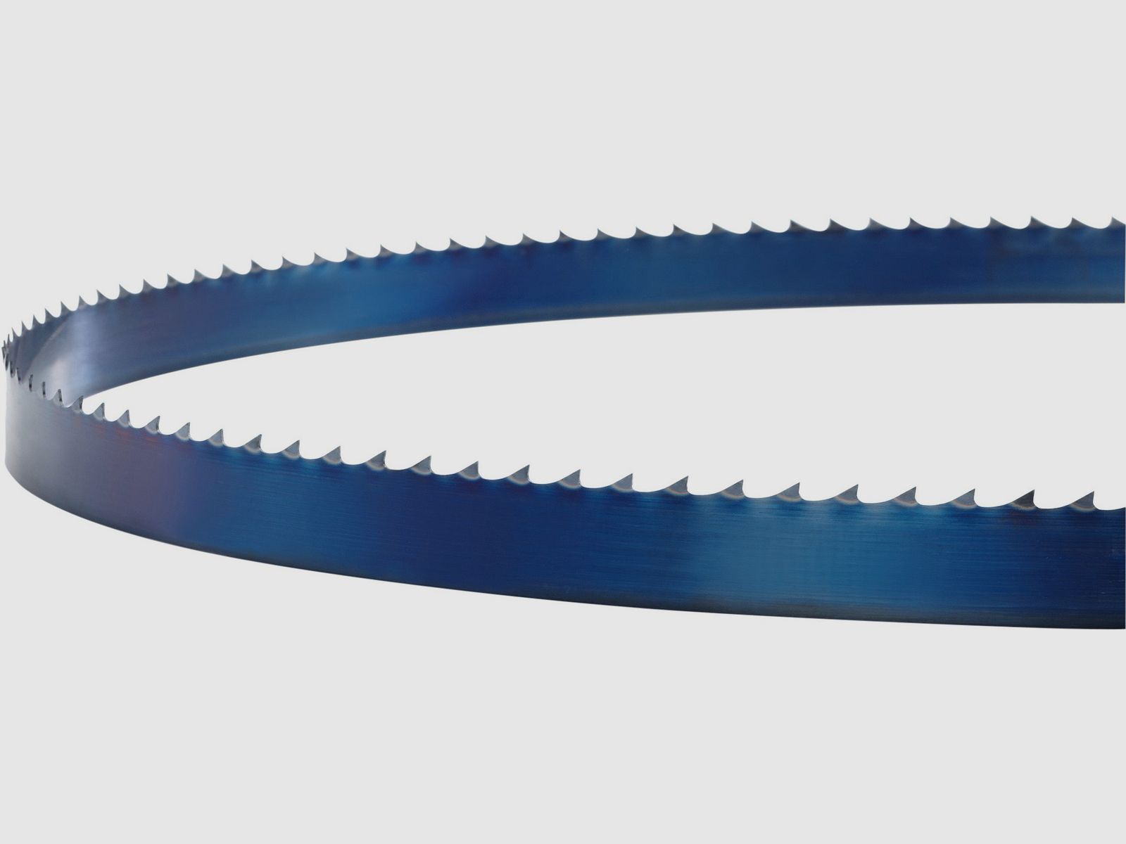 Wintersteiger Sgen Bandsgeblatt Flex-back 10