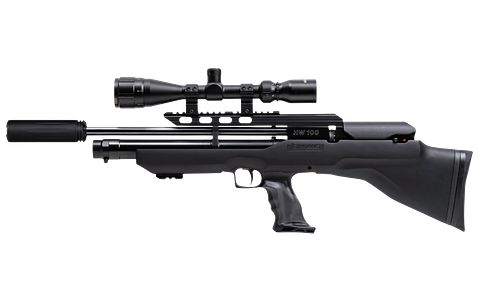 Weihrauch Sport HW 100 Bullpub