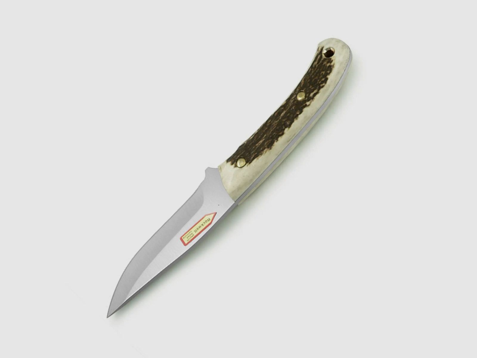 PUMA IP catamount, cervo