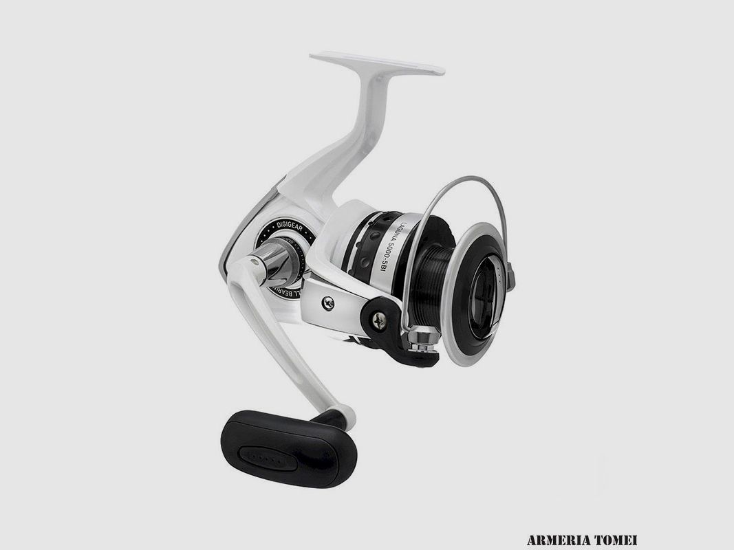 DAIWA – LAGUNA 3000-5Bi, immagine 2 di 3