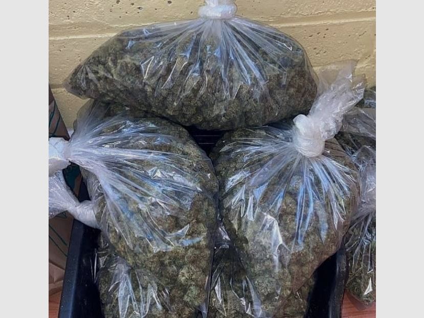 Hot cocain:we'll keep you coming back. Coke:up all night,no boners.cocain.Big whoop Text me on google chat